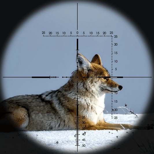Riflescope With Red andGreen Dots
