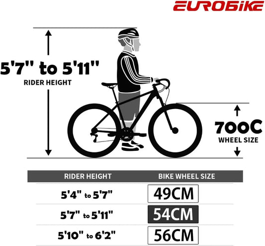 21 Speed Road Bike