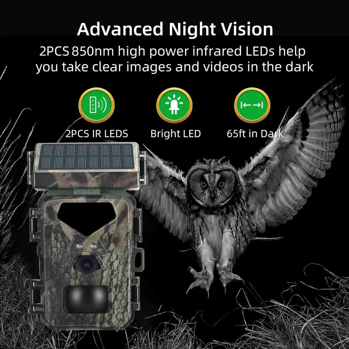 Night Vision Motion Activated Game Camera