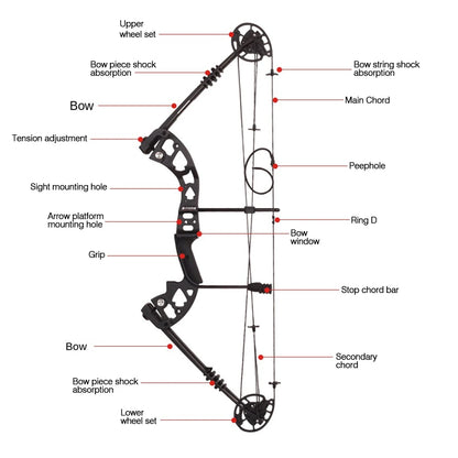 Battleship X Composite  Bow and Arrow set 30-60lb
